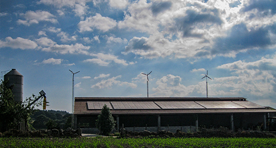 Sustainable Livestock industry