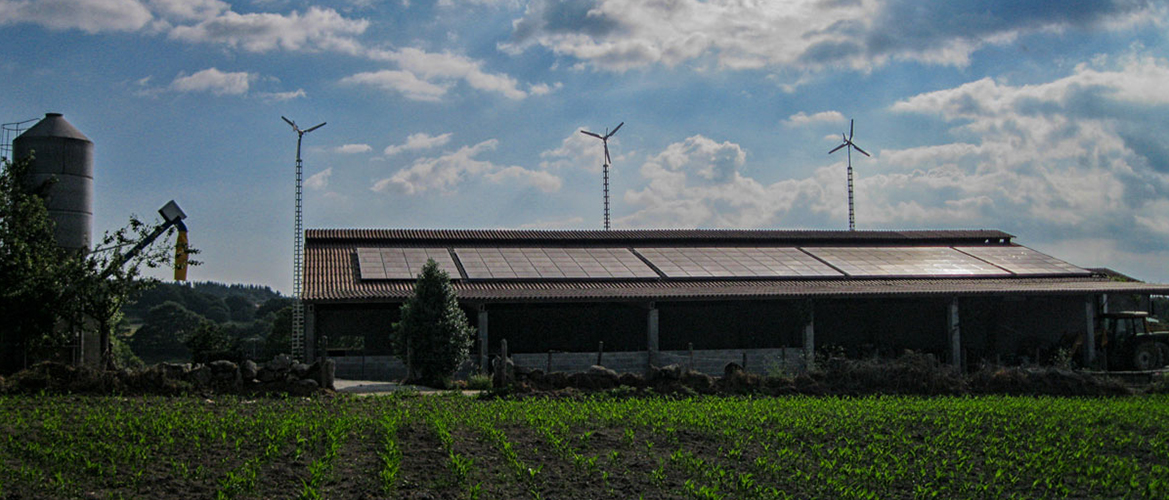 Sustainable Livestock industry